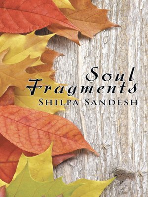 cover image of Soul Fragments